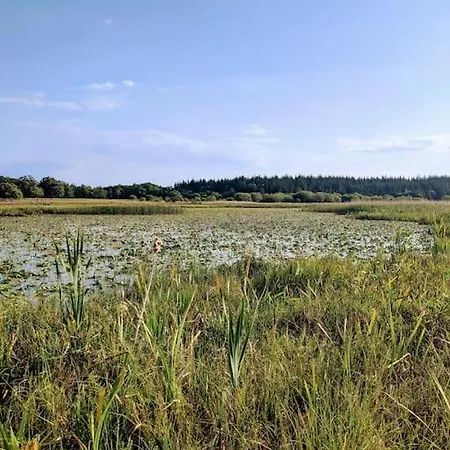 Secluded Private Hot-tub, Sauna & Fire-pit * Carrick on Shannon