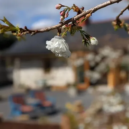 Secluded Private Hot-tub, Sauna & Fire-pit