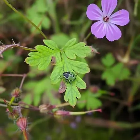 Secluded Private Hot-tub, Sauna&fire-pit *
