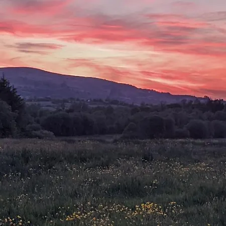 Secluded Private Hot-tub, Sauna & Fire-pit * Carrick on Shannon