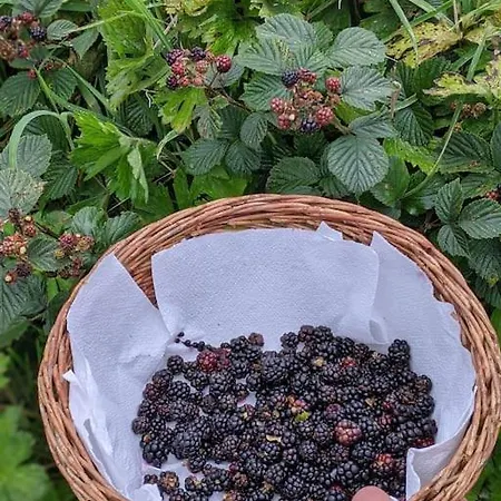 Secluded Private Hot-tub, Sauna&fire-pit * Carrick on Shannon