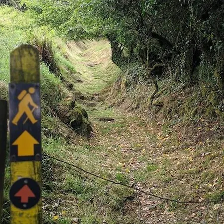 Secluded Private Hot-tub, Sauna&fire-pit * Carrick on Shannon