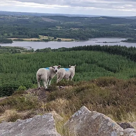 Secluded Private Hot-tub, Sauna&fire-pit * Carrick on Shannon