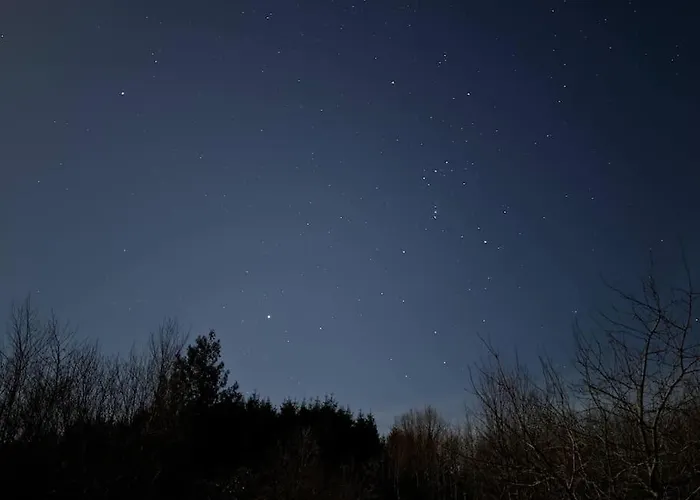 Holiday home Secluded Private Hot-tub, Sauna & Fire-pit *