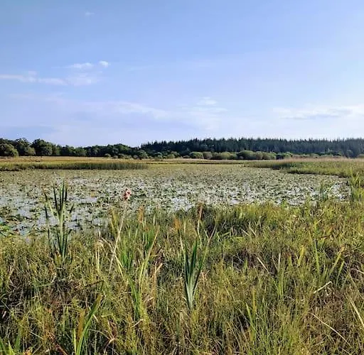 Secluded Private Hot-tub, Sauna & Fire-pit * Carrick-on-Shannon