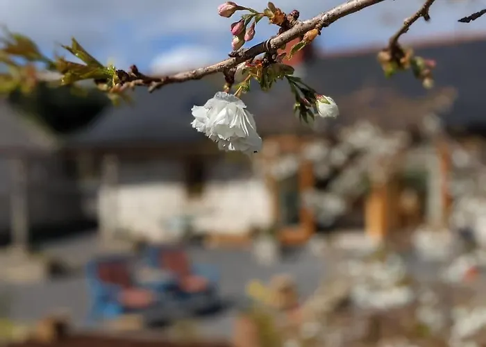 Secluded Private Hot-tub, Sauna & Fire-pit
