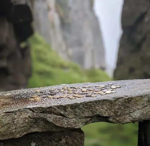 Secluded Private Hot-tub, Sauna & Fire-pit Carrick on Shannon