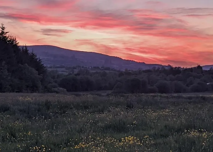 Secluded Private Hot-tub, Sauna & Fire-pit * Carrick on Shannon